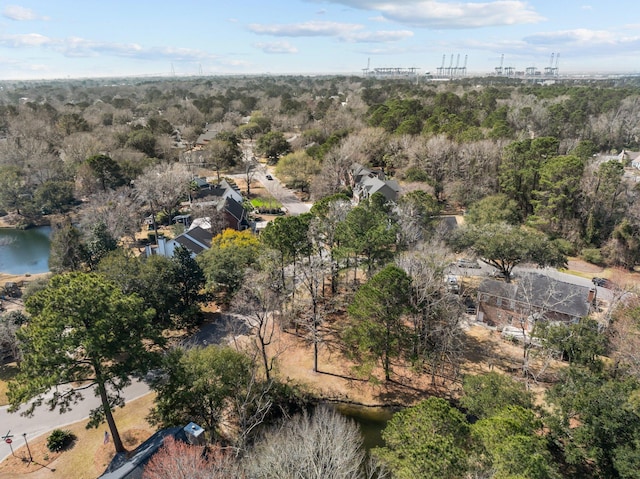 501 Chimney Bluff Dr, Mount Pleasant, SC 29464