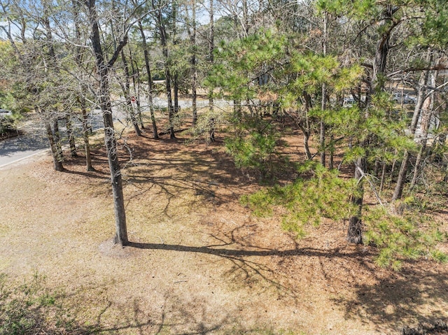 501 Chimney Bluff Dr, Mount Pleasant, SC 29464
