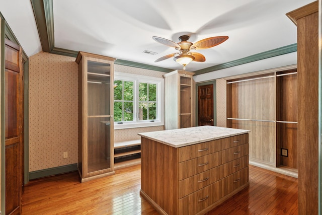 125 Drayton Dr, Summerville, SC 29483 - spacious closet with light wood-style floors and ceiling fan