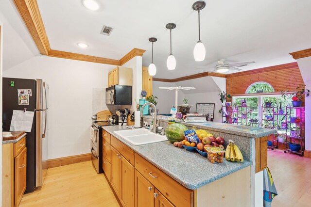 125 Drayton Dr, Summerville, SC 29483 - kitchen with appliances with stainless steel finishes, a sink, a peninsula, light wood finished floors, and a ceiling fan