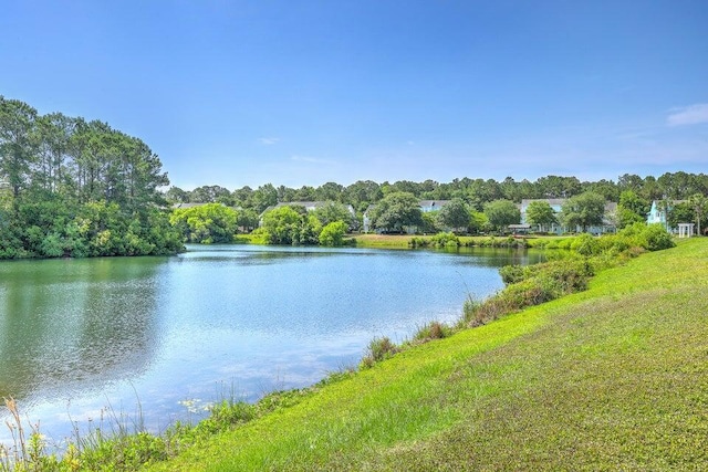 1723 Brittlebush Ln, Johns Island, SC 29455 - water view