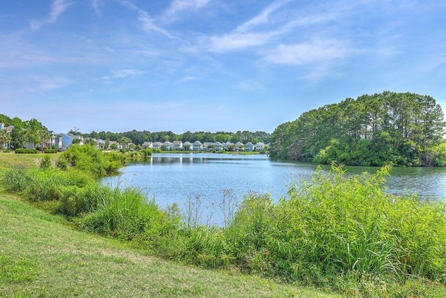 1723 Brittlebush Ln, Johns Island, SC 29455 - water view