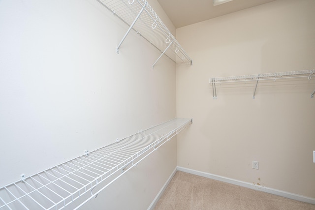 walk in closet featuring light colored carpet