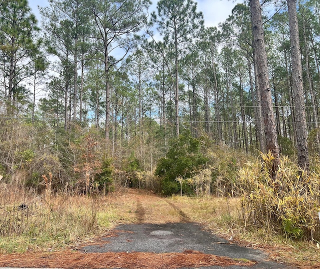 Listing photo 2 for 0 S Santee Rd, Mcclellanville SC 29458