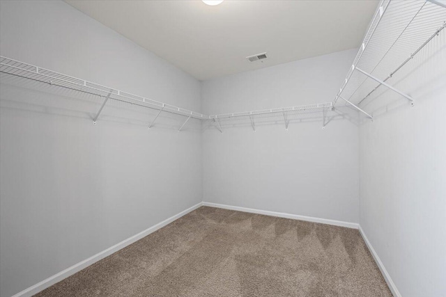 walk in closet featuring carpet flooring