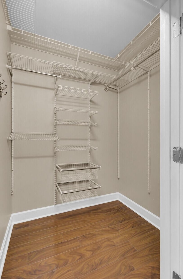 spacious closet featuring wood finished floors