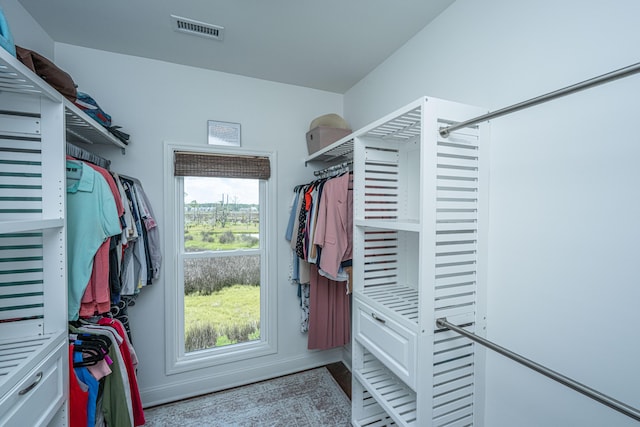 1520 Regimental Ln, Johns Island, SC 29455 - view of walk in closet
