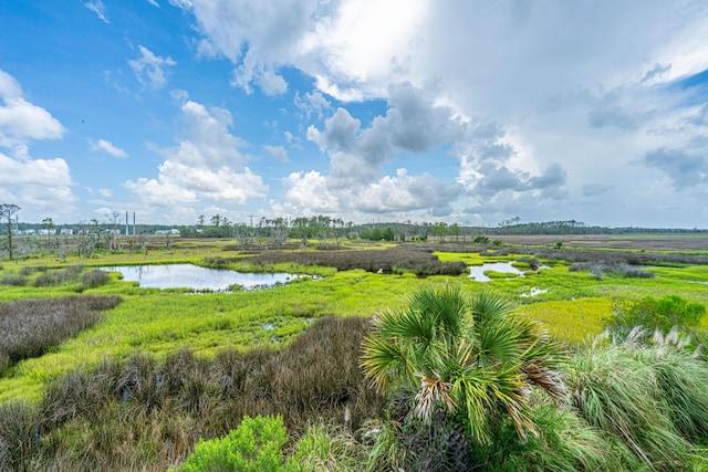 1520 Regimental Ln, Johns Island, SC 29455 - view of yard with a water view