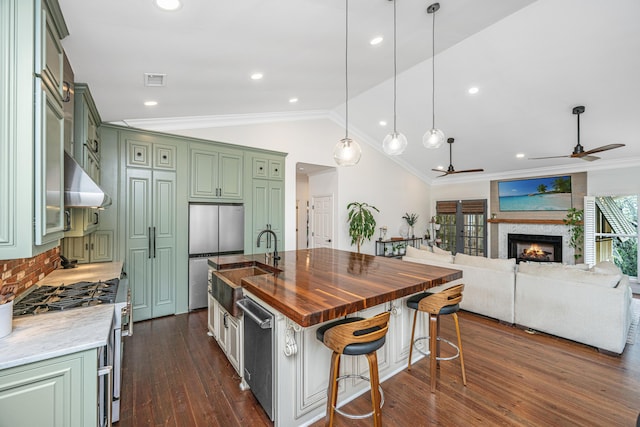 1520 Regimental Ln, Johns Island, SC 29455 - kitchen with green cabinets, appliances with stainless steel finishes, a ceiling fan, crown molding, and vaulted ceiling