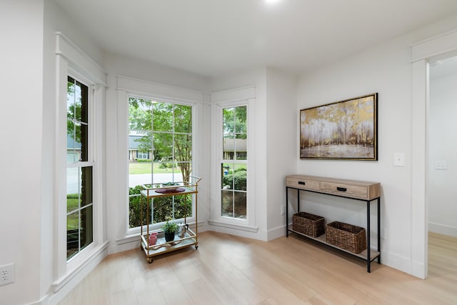 886 Friendly Cir, Charleston, SC 29414 - sitting room with wood finished floors and baseboards