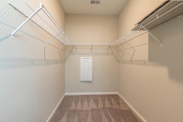 408 Fox Sparrow Ct, Summerville, SC 29486 - walk in closet featuring carpet flooring