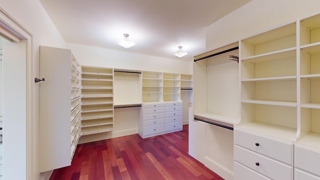 walk in closet featuring dark hardwood / wood-style floors