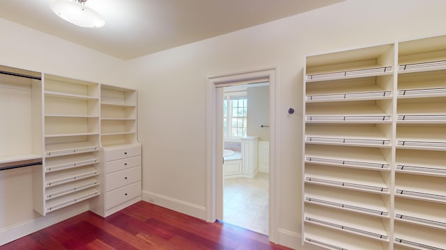 walk in closet with dark hardwood / wood-style floors