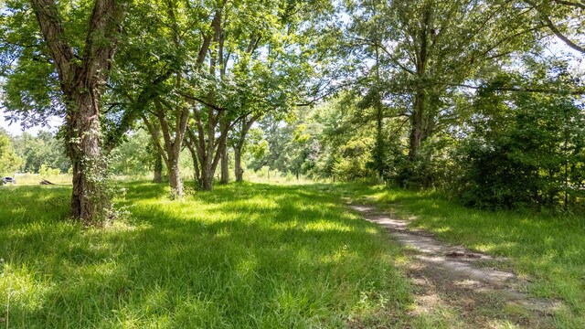 00 Greyback Rd, Summerville SC, 29483 land for sale