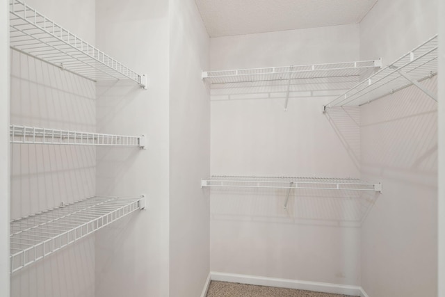 1505 Blaze Ln, Charleston, SC 29412 - spacious closet with carpet