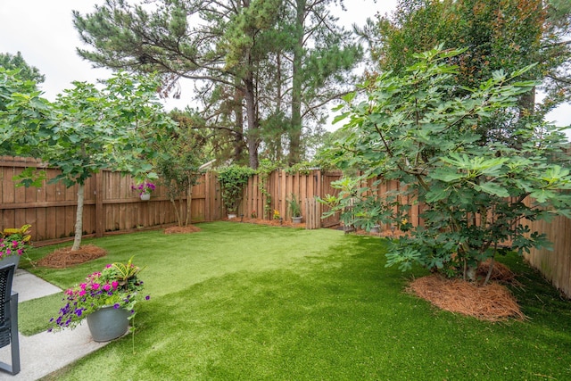 1505 Blaze Ln, Charleston, SC 29412 - view of fenced backyard