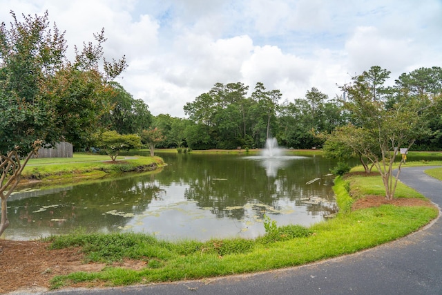1505 Blaze Ln, Charleston, SC 29412 - water view