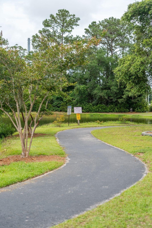 1505 Blaze Ln, Charleston, SC 29412 - view of home's community featuring a yard