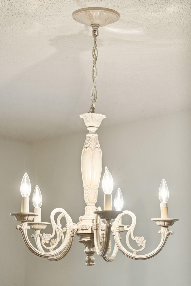 1505 Blaze Ln, Charleston, SC 29412 - detailed view of a chandelier
