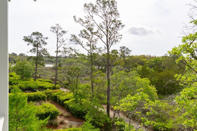 view of nature