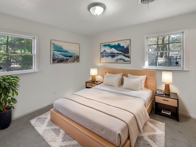 bedroom featuring carpet flooring and a textured ceiling