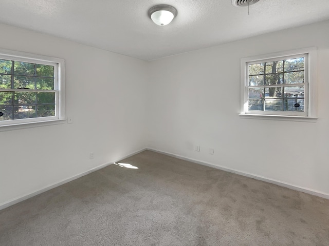 unfurnished room with carpet floors and a textured ceiling