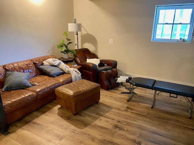 home theater room featuring light wood-style floors
