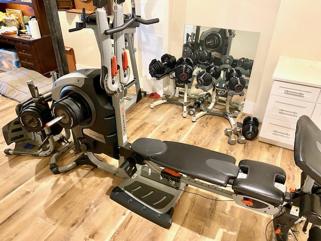 workout room featuring wood finished floors