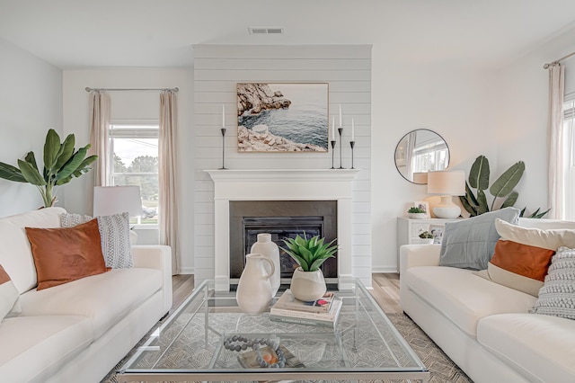 living room featuring a fireplace and wood-type flooring