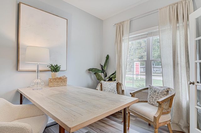 interior space featuring a healthy amount of sunlight and wood-type flooring