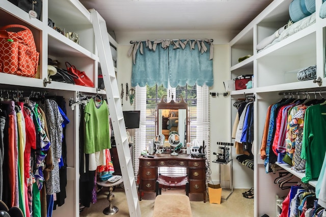 view of spacious closet