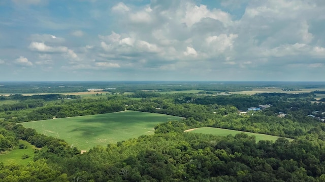 bird's eye view featuring a view of trees