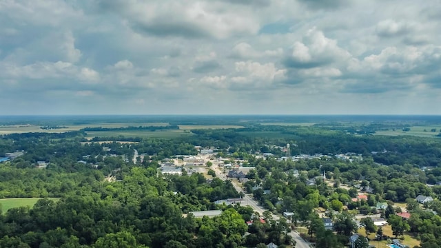 bird's eye view