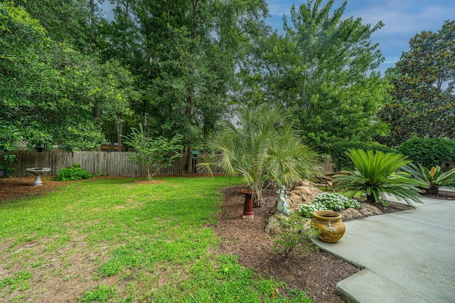 1617 Southwick Dr, Johns Island, SC 29455 - view of yard with a patio area
