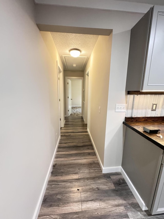 449 Estates Dr, Walterboro, SC 29488 - corridor featuring dark wood finished floors and baseboards