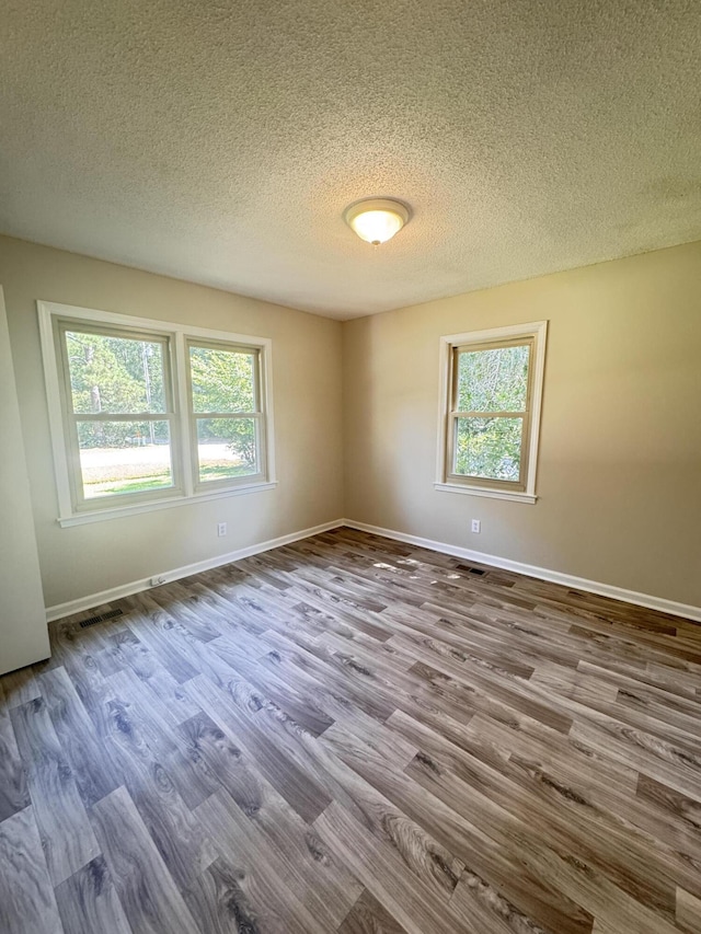 449 Estates Dr, Walterboro, SC 29488 - spare room featuring plenty of natural light, a textured ceiling, and wood finished floors