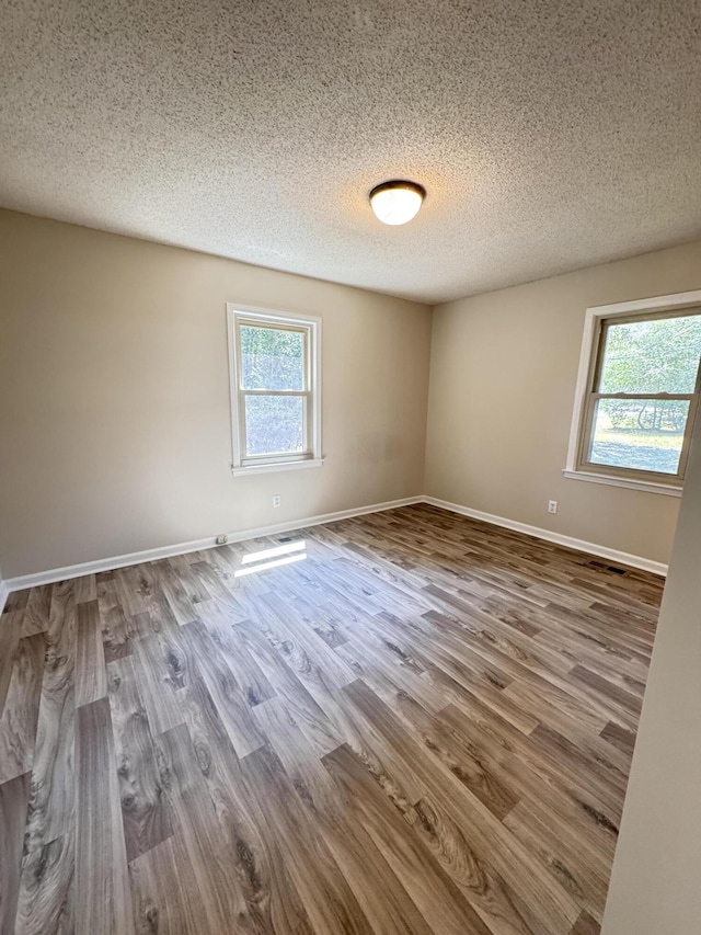 449 Estates Dr, Walterboro, SC 29488 - spare room with plenty of natural light, wood finished floors, and a textured ceiling
