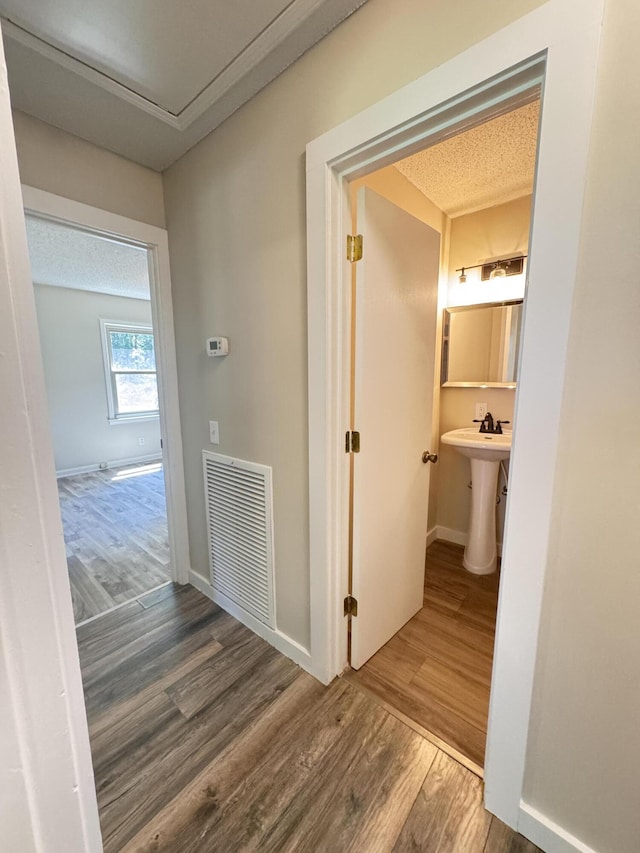 449 Estates Dr, Walterboro, SC 29488 - corridor with wood finished floors and a sink