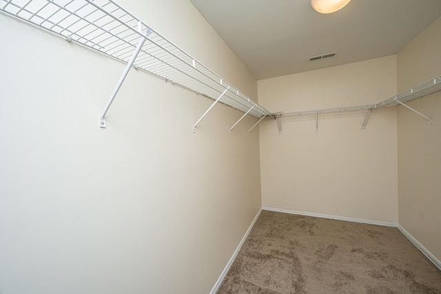 spacious closet with carpet flooring and visible vents