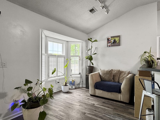 1317 Wild Olive Dr, Mount Pleasant, SC 29464 - sitting room featuring vaulted ceiling, wood finished floors, baseboards, a textured ceiling, and track lighting