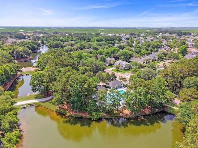 1317 Wild Olive Dr, Mount Pleasant, SC 29464 - aerial view of a large body of water