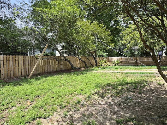 1317 Wild Olive Dr, Mount Pleasant, SC 29464 - view of yard