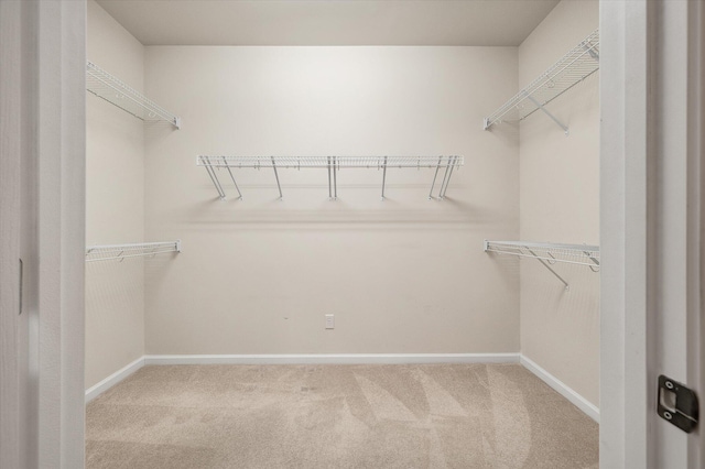 spacious closet featuring light carpet