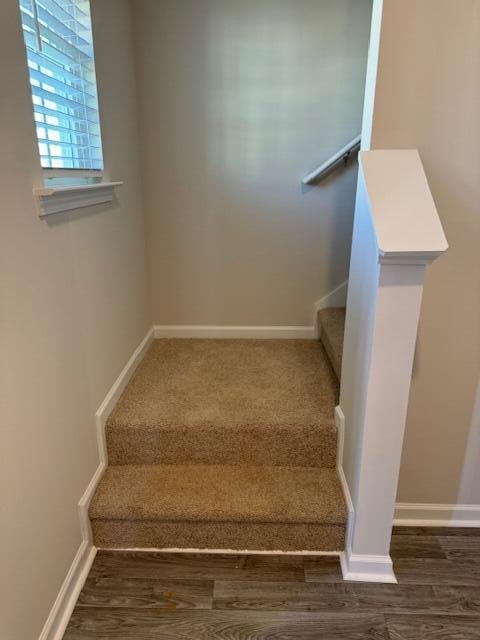 stairway with hardwood / wood-style flooring