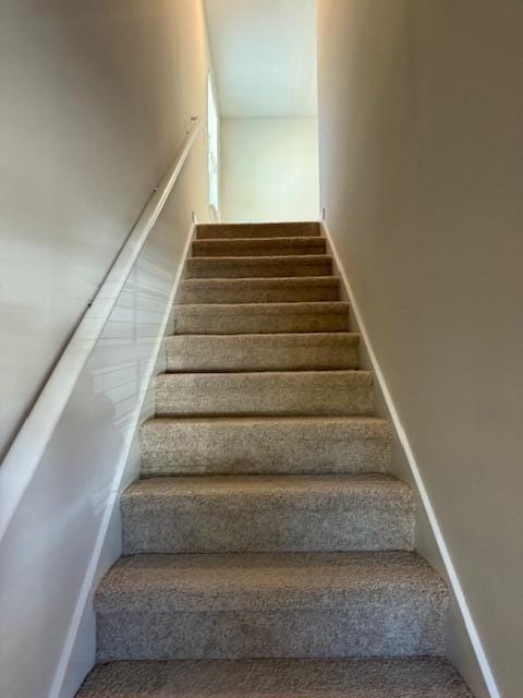 stairway with carpet flooring