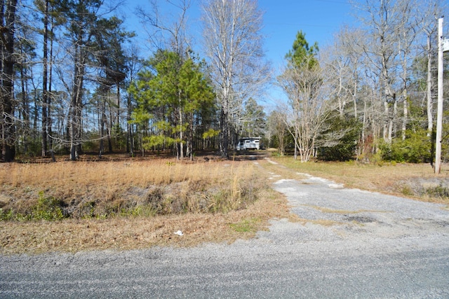 123 Muckenfus Rd, Cottageville SC, 29435 land for sale