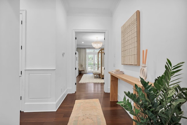 corridor featuring dark hardwood / wood-style flooring and ornamental molding