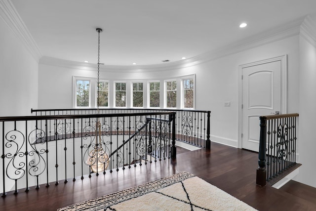 corridor with crown molding and dark wood-type flooring