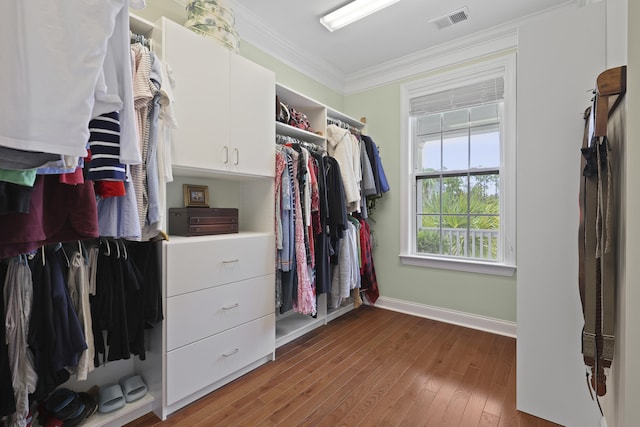 1216 Rivers Reach Dr, Charleston, SC 29492 - walk in closet featuring hardwood / wood-style flooring