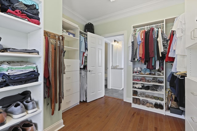 1216 Rivers Reach Dr, Charleston, SC 29492 - walk in closet with wood finished floors